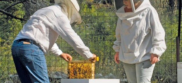 Καλαμπάκα – Τριήμερο πρόγραμμα ταχύρυθμης εκπαίδευσης μελισσοκόμων