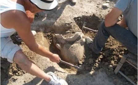Ψάχνοντας τους τρικαλινούς προγόνους 4.000 χρόνια πριν