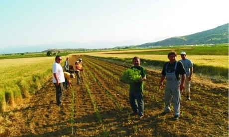 Οι εν δυνάμει νέοι αγρότες στο  ν. Τρικάλων