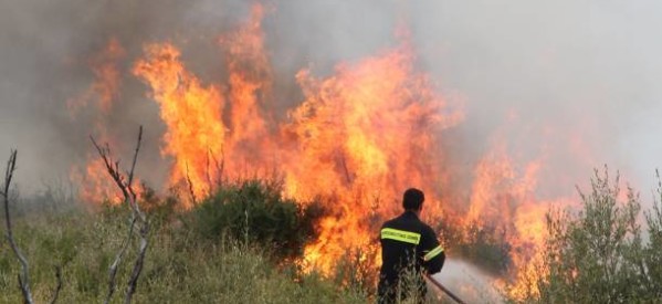 ΠΥ Καλαμπάκας: Βίντεο για πρόληψη πυρκαγιών