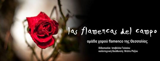 Las Flamencas del Campo: Η νέα ομάδα χορού flamenco στη Θεσσαλία!