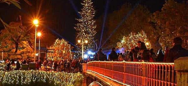 Τρίκαλα: Φωταγωγείται το υψηλότερο φυσικό χριστουγεννιάτικο δέντρο