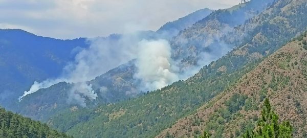 Στις φλόγες το παρθένο οικοσύστημα της Βάλια Κάλντα – Μεγάλη ανησυχία του κόσμου