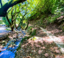 Τρίκαλα – Το μέρος με τα κρυστάλλινα γάργαρα νερά & τα πυκνά καταπράσινα πλατάνια