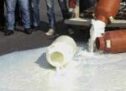 Αγρότες και κτηνοτρόφοι έκαναν συλλαλητήριο και έριξαν γάλα με ζωοτροφές σε κεντρική πλατεία